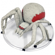 Monster Manual Collection 1 #23a Giant Spider (White) (U)