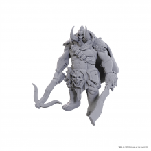 D&D Nolzurs Marvelous Miniatures: Orthon