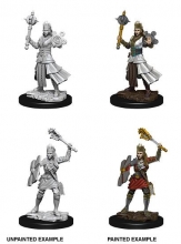 D&D Nolzurs Marvelous Miniatures Miniaturas sin pintar Female Human Cleric