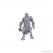 D&D Nolzurs Marvelous Miniatures: Draconian Mastermind
