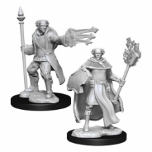 D&D Nolzurs Marvelous Miniatures - Multiclass Cleric + Wizard Male