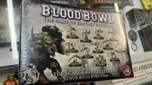 Blood Bowl The Scarcrag Snivellers (Goblin Team)