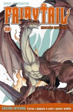Fairy Tail 28