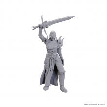 D&D Nolzurs Marvelous Miniatures: Blackguard