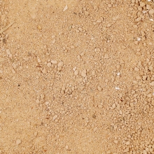 Sands Of The Ancient Bones