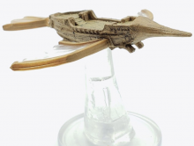 Shrike Ship - Icons of the Realms Spelljammer Adventures in Space