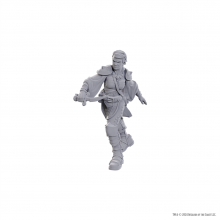 D&D Nolzurs Marvelous Miniatures: Swashbuckler