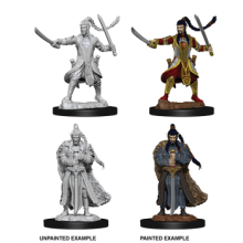 D&D Nolzurs Marvelous Miniatures - Male Elf Paladin