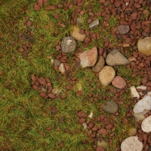 Mighty Kingdom Fields