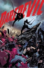 DAREDEVIL, 8 (41 )**