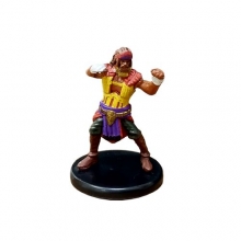 Waterdeep Dragon Heist #11 Human Sun Soul Monk (C)