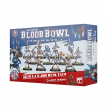 Equipo High Elf de Blood Bowl: The Caledor Dragons