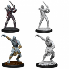 D&D Nolzurs Marvelous Miniatures - Wight & Ghast